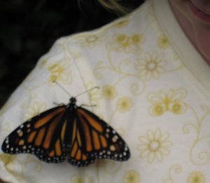 Kid2 & Monarch Butterfly