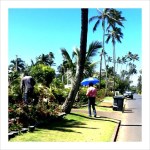 Billionaire Gensiro Kawamoto at one of his Kahala Avenue properties.