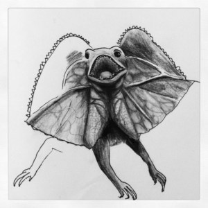 Frilled Lizard?