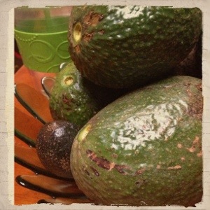 Avocado season!