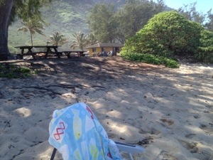 My chair on the beach, cabins in the background. 