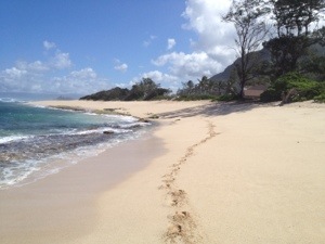 An Oahu beach to myself?! Camp Erdman on the North Shore. High surf advisory, so all the action was east of Haleiwa. 