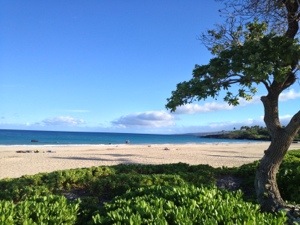 We visited the bay at Hapuna Beach State Park the day after the race. What a gorgeous place. 