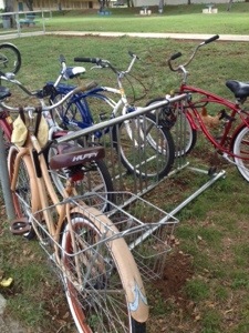 Old style bikes and chickens. 
