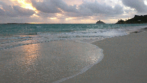 Good morning chop for crazy triathletes! 