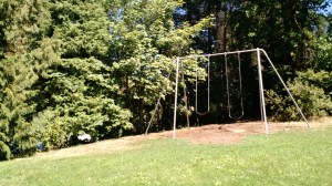 There are four very strong and big swing sets on the Reed campus, one of which is right near Sophie's dorm. Dontcha love it?!?!